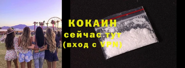 стаф Верея