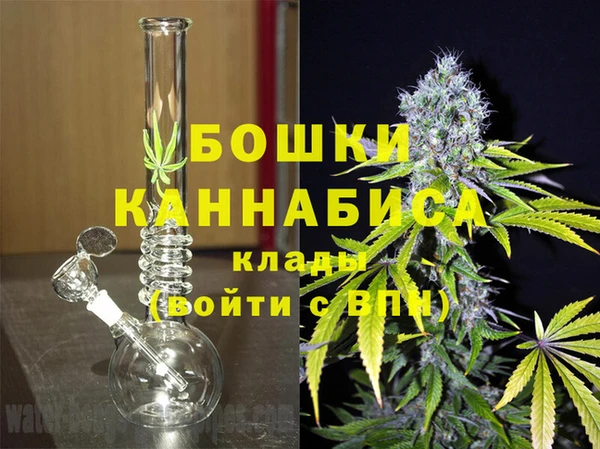 дживик Белокуриха