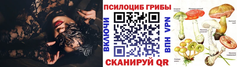 hydra ССЫЛКА  наркота  Наро-Фоминск  Псилоцибиновые грибы Psilocybe 